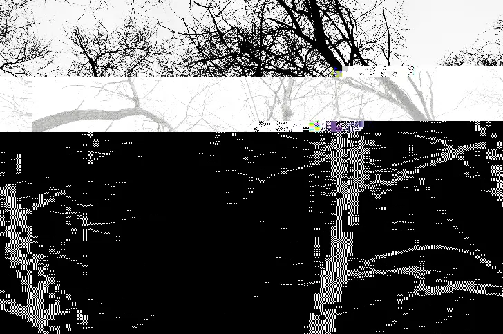 Beautiful Breakdowns: When Corrupted Code Became the Canvas
